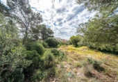 Urban land for sale on España, Llucmajor, ref: TR405682 photo