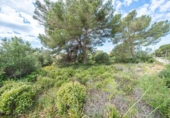 Urban land for sale on España, Llucmajor, ref: TR405682 photo