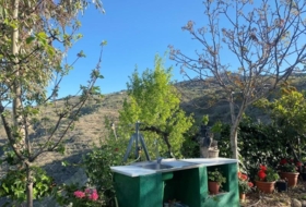 Foto 19