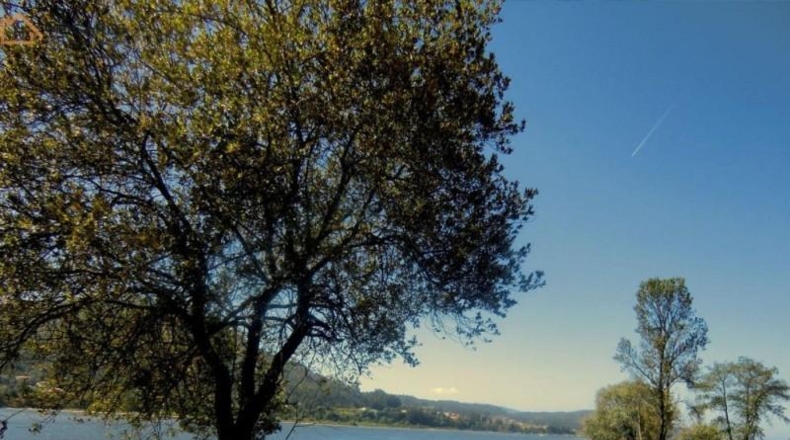 Pontevedra - As Medas - 603m2