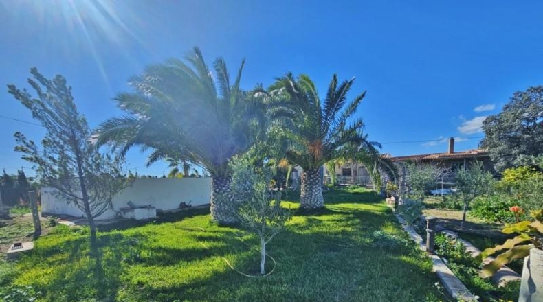 Аликанте - Alicante - 3600m2