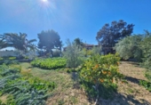 Casa de campo con terreno en venta en la España, Alicante, ref: TR394863 foto