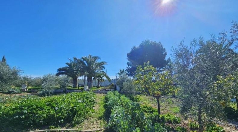 Аликанте - Alicante - 3600m2