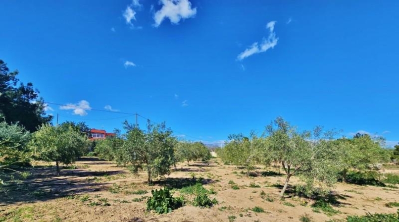 Аликанте - Alicante - 3600m2