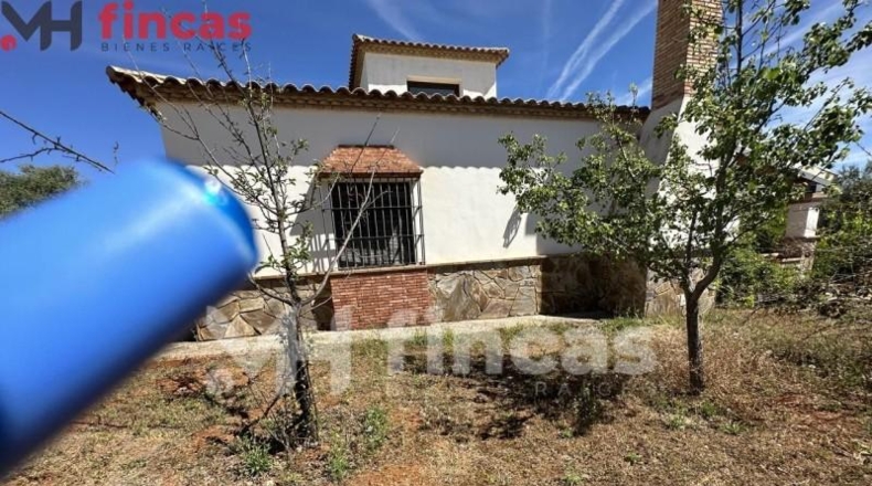 Seville - Las Navas de la Concepción - 97600m2