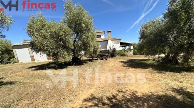 Seville - Las Navas de la Concepción - 97600m2