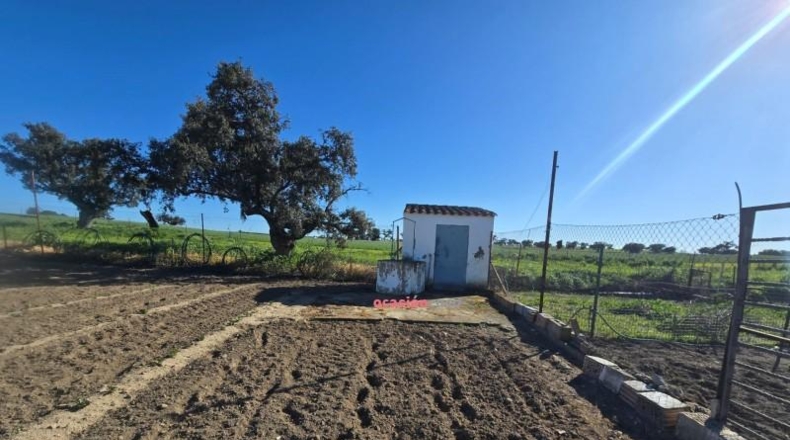 Córdoba - Villanueva del Duque - 60000m2