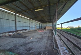 Foto 10