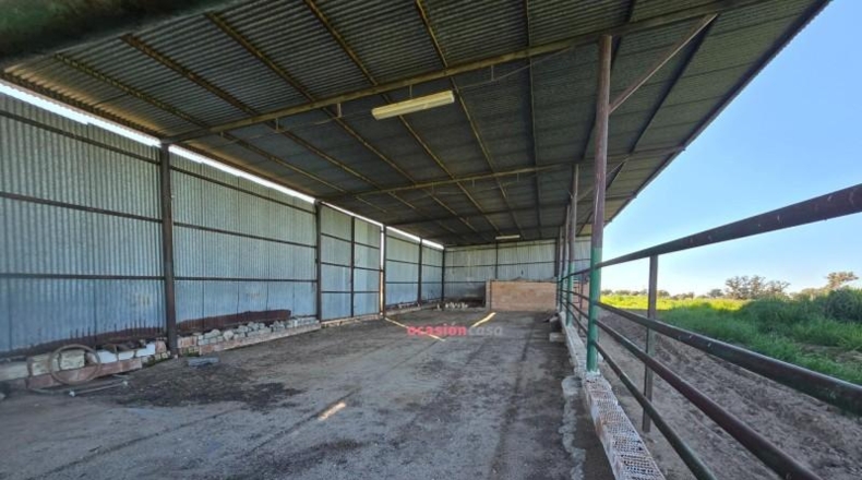 Córdoba - Villanueva del Duque - 60000m2