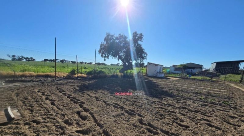 Córdoba - Villanueva del Duque - 60000m2