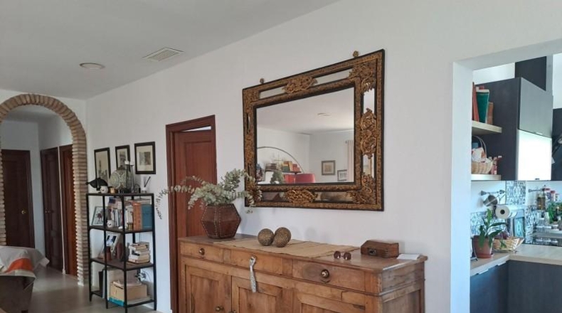 Seville - Cantillana - 2304m2