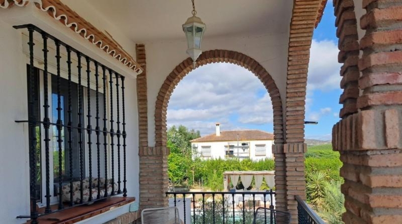 Seville - Cantillana - 2304m2