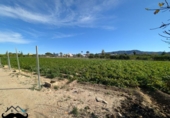 Detached villa with land for sale on España, Murcia, ref: TR412134 photo