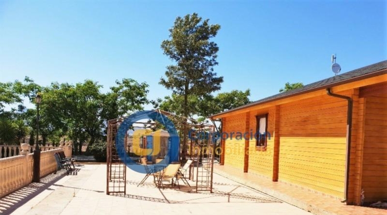 Sevilla - Lora del Río - 10000m2