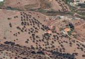 House with land for sale on España, Nerja, ref: TR224658 photo