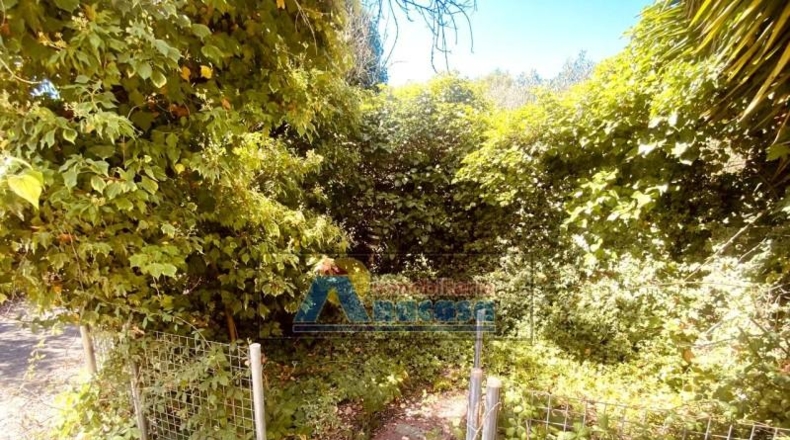 València - Villalonga - 3043m2