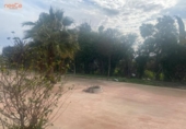 Detached villa with land for sale on España, Lorca, ref: TR398236 photo