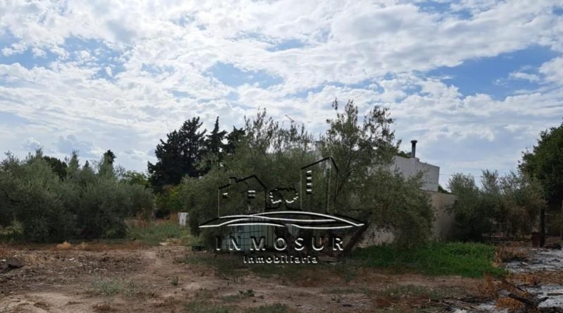 Córdoba - Lucena - 3700m2
