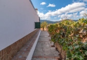 Casa de camp amb terreny en venda a la España, Graena, ref.: TR409804 foto