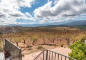 Casa de camp amb terreny en venda a la España, Graena, ref.: TR409804 foto