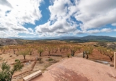 Casa de camp amb terreny en venda a la España, Graena, ref.: TR409804 foto
