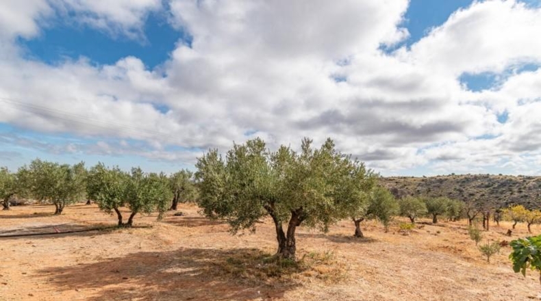 Granada - Graena - 130m2