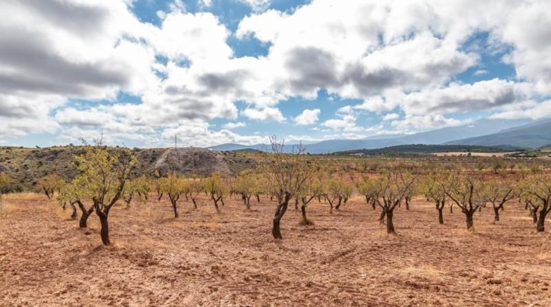 Granada - Graena - 130m2