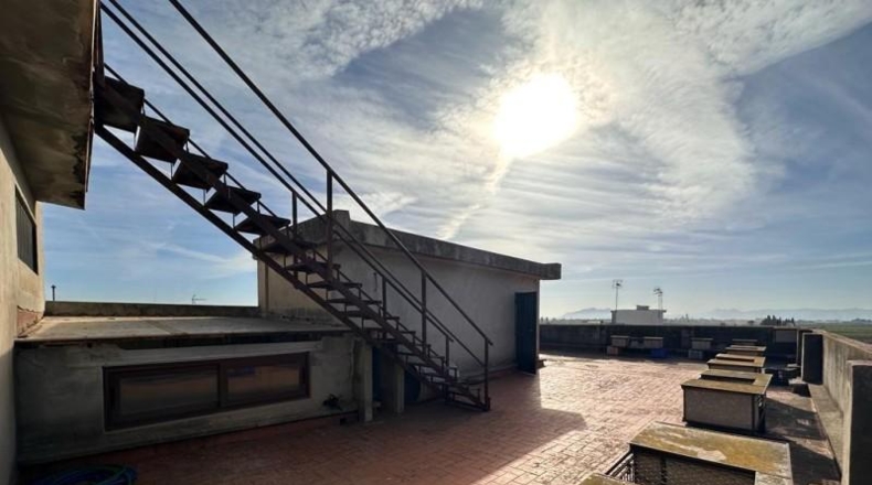 Valencia - Benimodo - 536m2