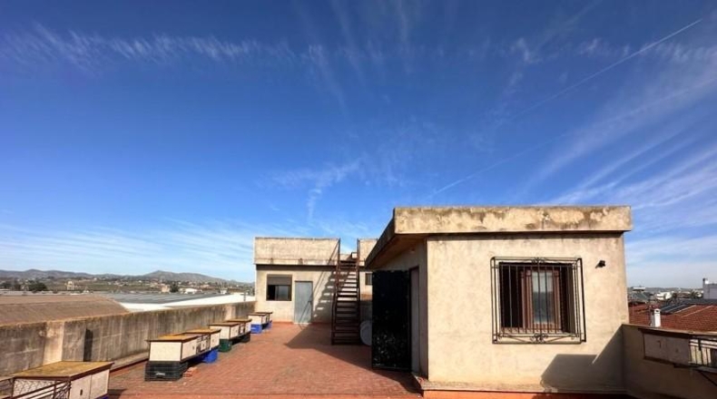 Valencia - Benimodo - 536m2