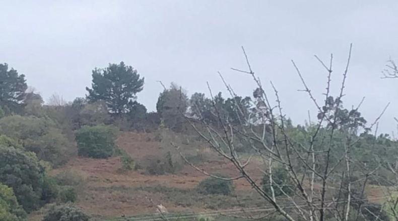 Biscaia - Urdúliz - 10000m2