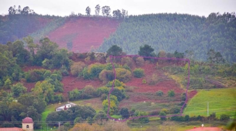 Biscaia - Urdúliz - 10000m2
