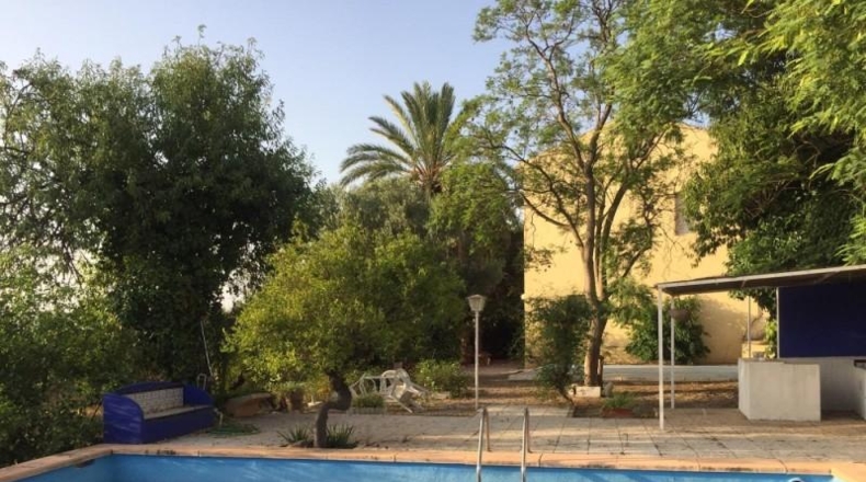 Murcia - Totana - 9509m2