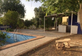 Foto 6