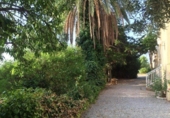 Country house with land for sale on España, Totana, ref: TR141624 photo