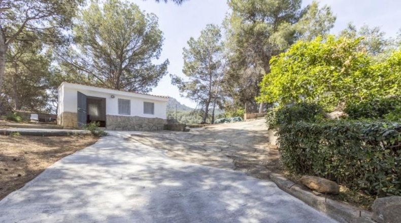 Valencia - Albalat dels Tarongers - 1384m2