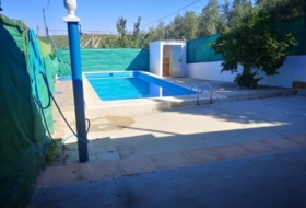 Foto 7