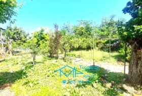 Pelayos de la Presa 1286&nbsp;m²