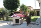 Casa de camp amb terreny en venda a la España, Encinarejo de Córdoba, ref.: TR141359 foto