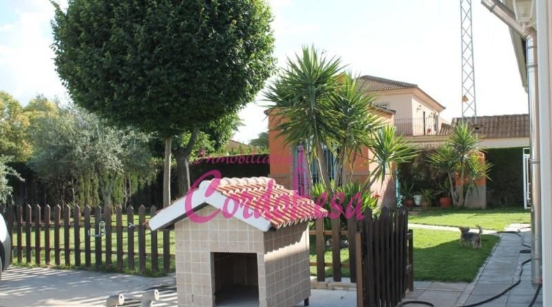 Córdoba - Córdoba - 1300m2