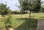 Suelo urbano en venta en la España, Manacor, ref: TR113130 foto