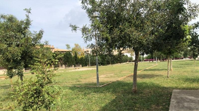 Balearic Islands - Manacor - 450m2