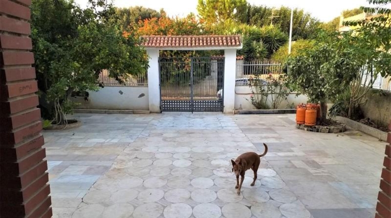 Valencia - Manises - 450m2