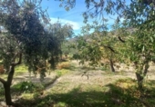 Casa de campo con terreno en venta en la España, Cádiar, ref: TR361751 foto