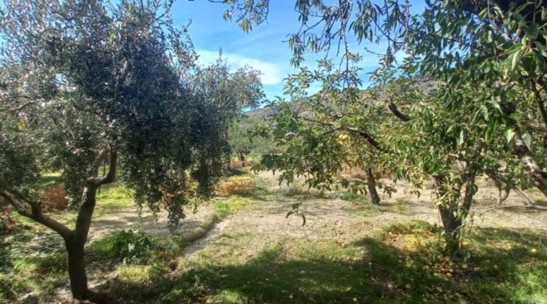Granada - Cádiar - 2500m2