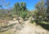 Casa de campo con terreno en venta en la España, Cádiar, ref: TR361751 foto