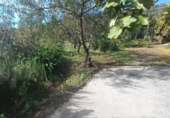 Casa de campo con terreno en venta en la España, Cádiar, ref: TR361751 foto