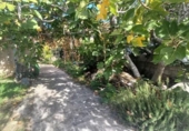 Casa de campo con terreno en venta en la España, Cádiar, ref: TR361751 foto