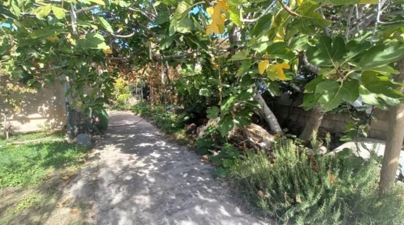 Granada - Cádiar - 2500m2
