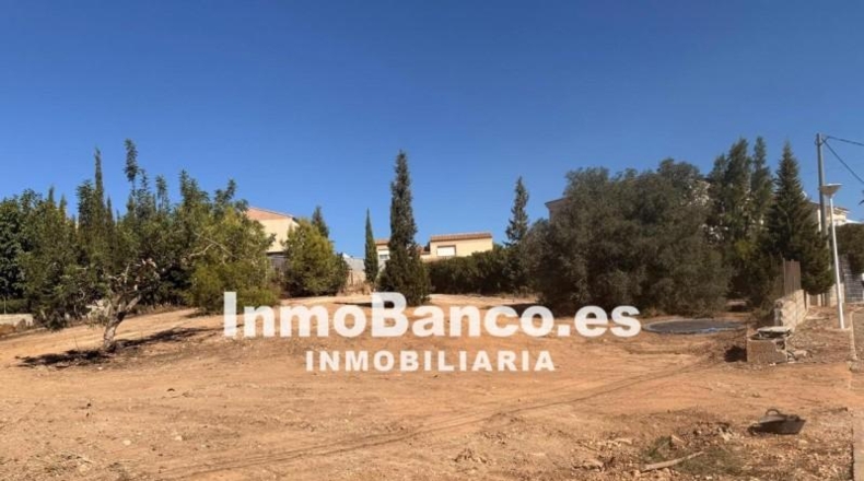 Valencia - Chiva - 1733m2