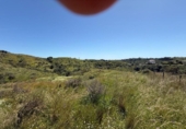 House with land for sale on España, Mijas, ref: TR286665 photo